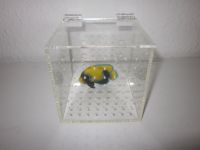 Isolationsbox Quarantänebox für Aquarium Mini Isolations Box Baden-Württemberg - Backnang Vorschau