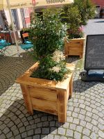 XXL Blumenkübel Pflanzkübel Blumenkasten Hochbeet Holz Thüringen - Bad Langensalza Vorschau