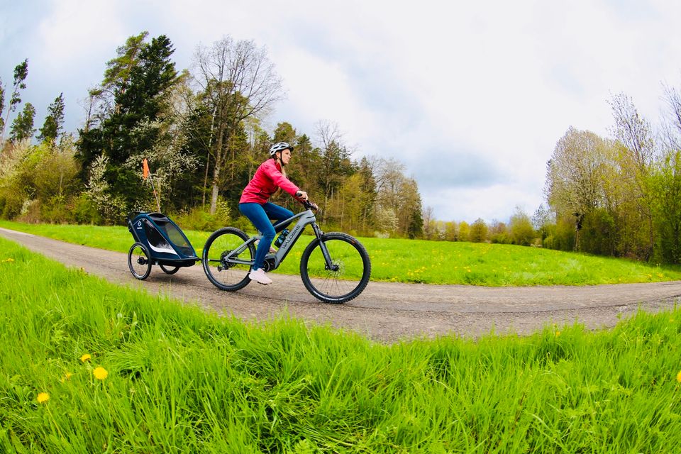 E-Bike/ Waldbike E-MTB QUERCUS - CARBON FULLY/ blackberry black in Lünen