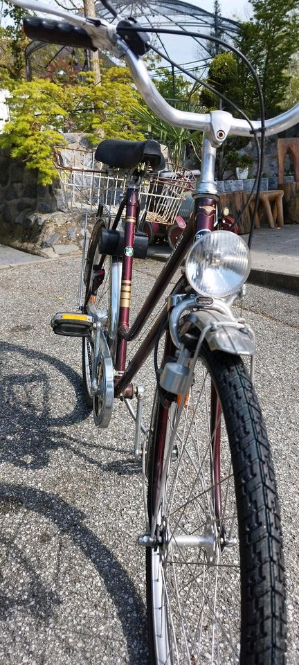 Puch Elegance Fahrrad in Rottenburg a.d.Laaber