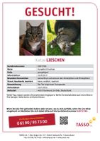 Katze vermisst Dortmund - Bodelschwingh Vorschau