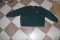 grüner Pulli tannengrün / Sweatshirt von Hollister Gr. XL Bayern - Regensburg Vorschau