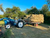 Heu in kleinen HD Ballen - Heuballen aus Ernte 2024 - ab Wiese Hessen - Hungen Vorschau