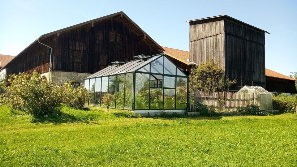 Hoklartherm Bio Varis XL Gewächshaus Treibhaus Gartenhaus in Dorfen