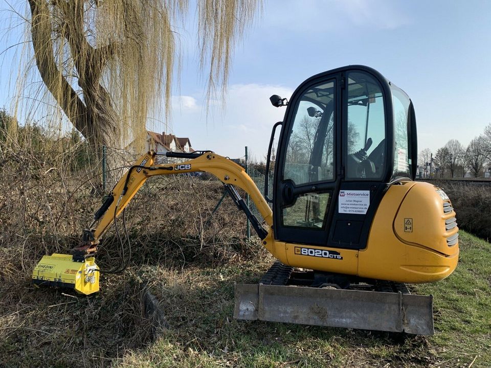 Baggermulcher / Forstmulcher / Mulcher / Minibagger mieten in Minfeld