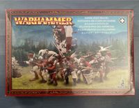 Warhammer Fantasy Empire State Troops Hessen - Marburg Vorschau