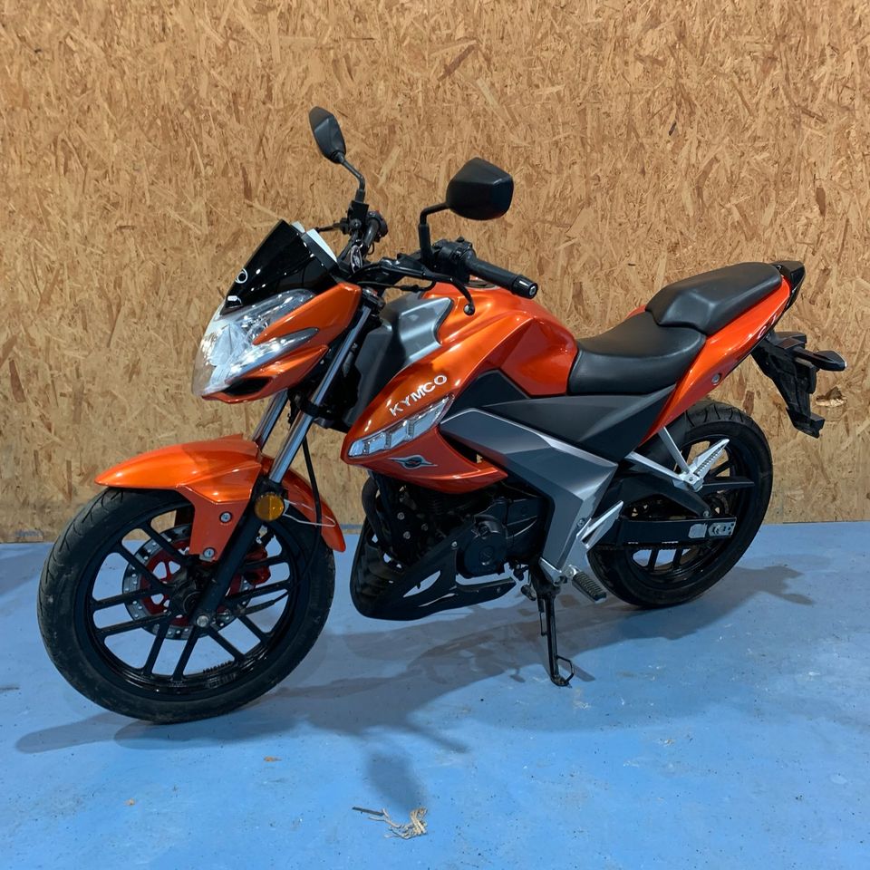 Kymco CK1 125 *12 Monate Gewährleistung, Inspektion* in Osdorf