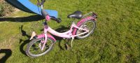 Puky 18 Zoll Alu Kinderrad Edition Lillifee Wuppertal - Heckinghausen Vorschau