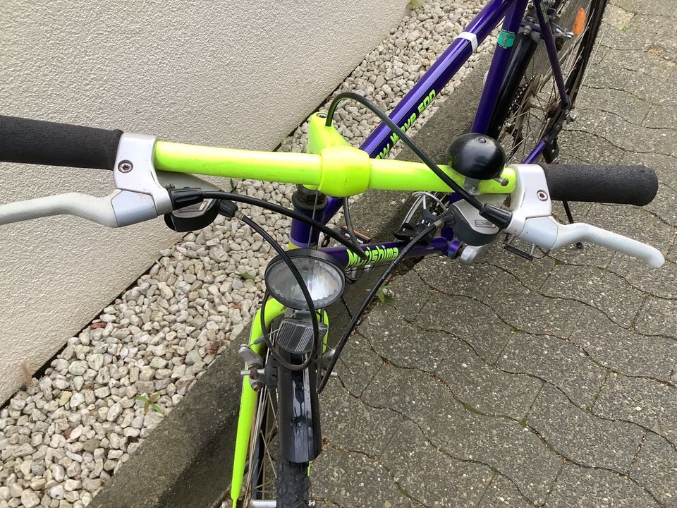 Fahrrad Morishima New Wave 500  28 Zoll in Bad Soden am Taunus