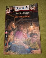 Neues vom SüderHof, der Feuerteufel, Buch in gutem Zustand Brandenburg - Schulzendorf bei Eichwalde Vorschau
