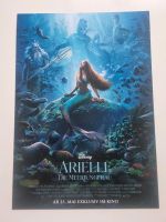 Arielle Filmposter Pappe DIN A4 Rätsel Disney top Nordrhein-Westfalen - Gladbeck Vorschau