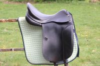 Prestige Italia Hippos Dressage Sattel Dressursattel 18 Zoll Nordrhein-Westfalen - Delbrück Vorschau