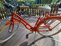 28er Nostalgie Fahrräder der Marke Pegasus Brandenburg - Ferch Vorschau