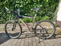 Corratec Freeride LX Männer Herren Mountainbike Fahrrad mit Extra Bayern - Pliening Vorschau