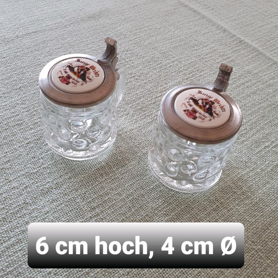 2 BMF Schnapsglashumpen mit Zinndeckel in Gifhorn