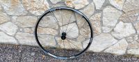 Shimano WH-RS 11 Vorderrad Rennrad 28" Saarland - Überherrn Vorschau