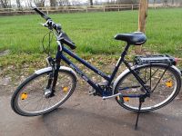 Fahrrad, 28 Zoll, Marke Bicycles Schleswig-Holstein - Travenbrück Vorschau