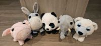 Glubschies Plüschtiere - Panda, Eisbär, Esel, Elefant, Schwein Brandenburg - Ortrand Vorschau