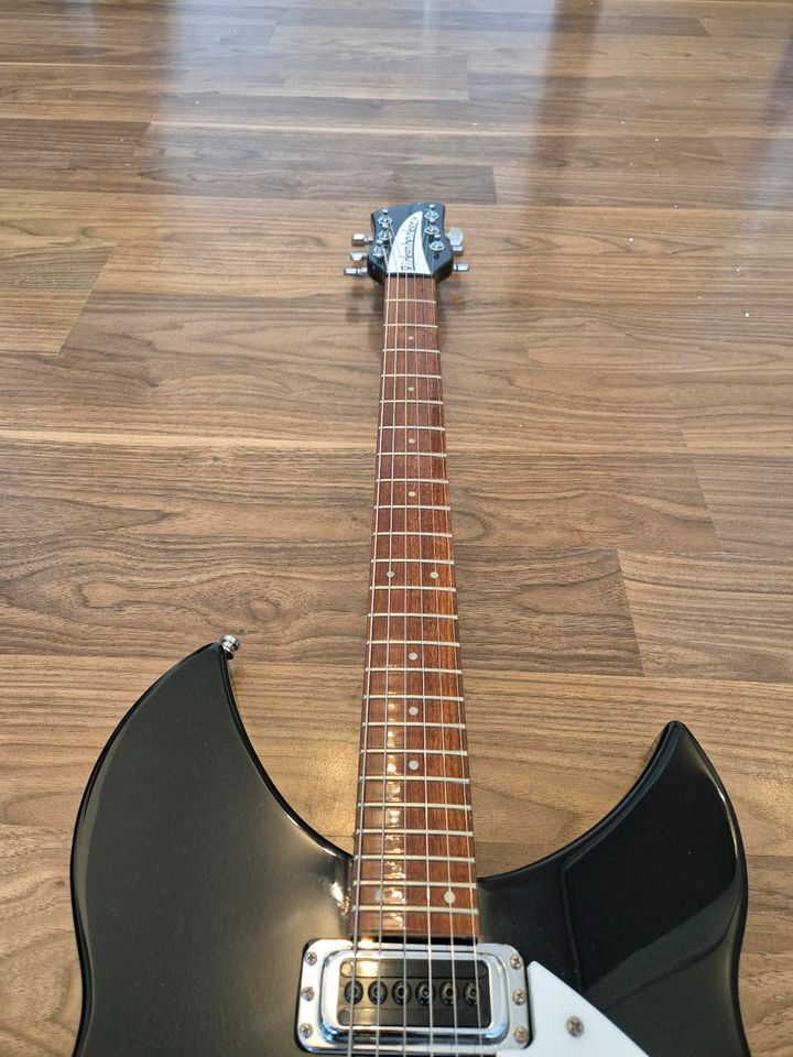 Rickenbacker 330 JG in Herrenberg