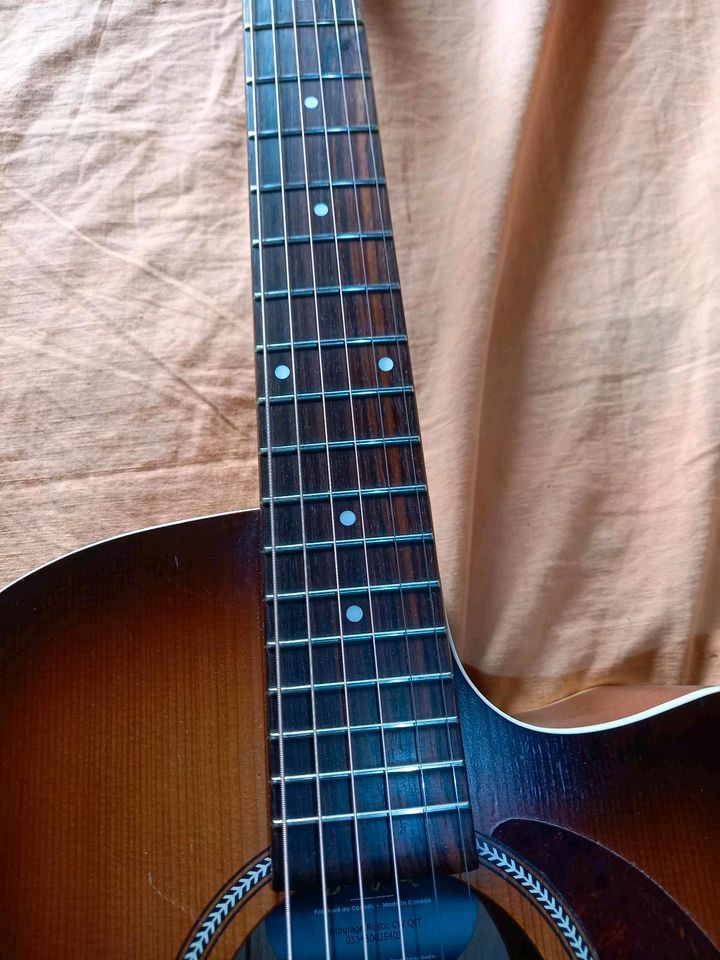 Seagull Entourage Rustic QIT Dreadnought in Klingenberg am Main