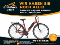 Prophete Elektro-Fahrrad Blaupunkt 418Wh 11,6 Ah 3-Gang Rücktritt Niedersachsen - Dissen am Teutoburger Wald Vorschau