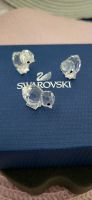 Swarovski 3 Küken Berlin - Reinickendorf Vorschau