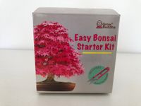 Easy Bonsai Starter Kit (Grow Buddha) Neu Bayern - Krailling Vorschau