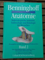 Beninghoff Anatomie Band 2 Neuhausen-Nymphenburg - Neuhausen Vorschau