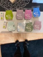 Scentsy Duftwachs Saarland - Wadgassen Vorschau