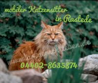 Catsitter in Rastede Niedersachsen - Wiefelstede Vorschau