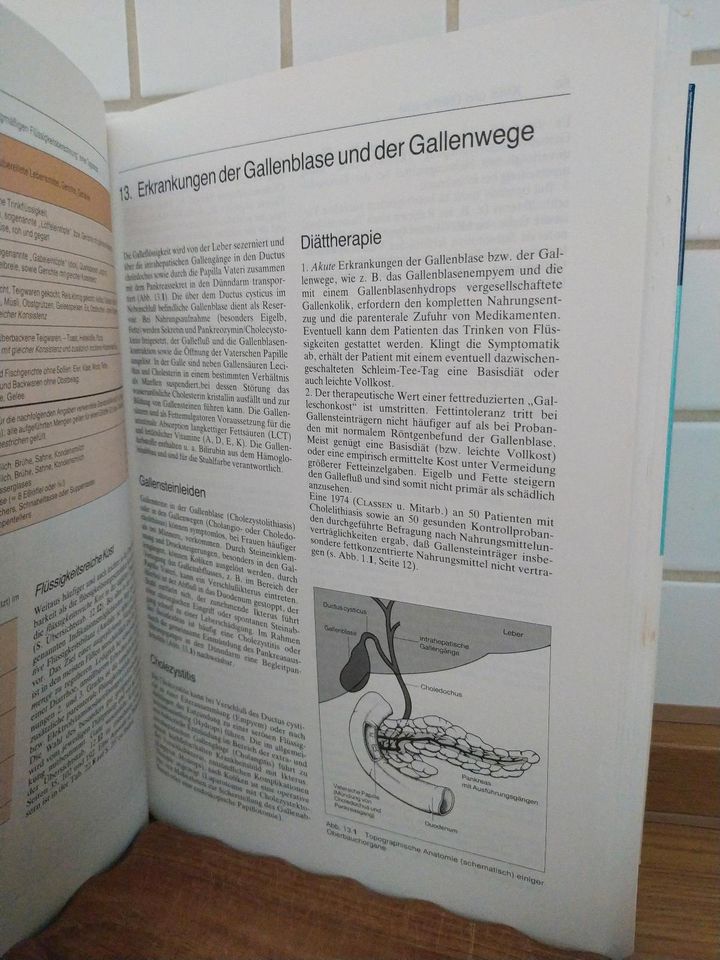 Diät Diättherapie Fachbuch für Köche Diätassistenten in Hof (Saale)