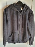 Kapuzenpullover | Gr. L | H&M | grau Hessen - Selters Vorschau