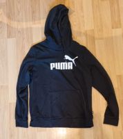 dünner Pulli Puma Baden-Württemberg - Bad Säckingen Vorschau