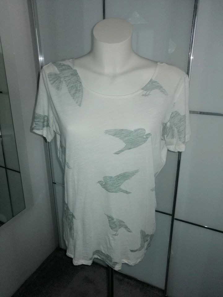 Bekleidungspaket 12 tlg. Damen Shirts Gr.M bzw. 38 in Friedrichroda