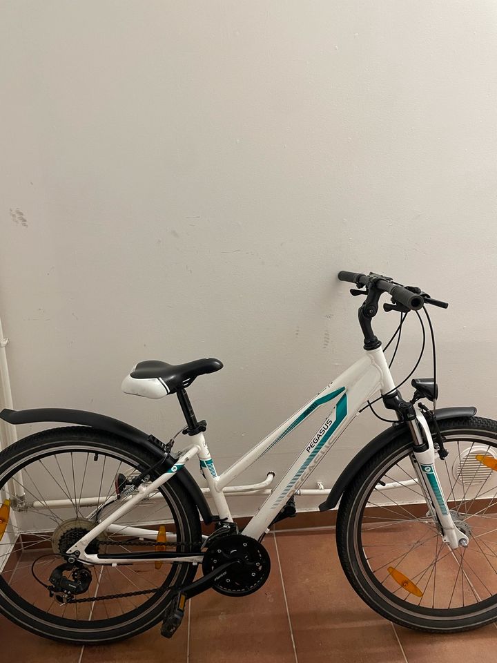 Damenfahrrad Pegasus 26 Zoll in Berlin