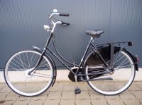 GAZELLE Classic 3 Damen Fahrrad Hollandrad 28" Rh: 51 cm Nordrhein-Westfalen - Dorsten Vorschau