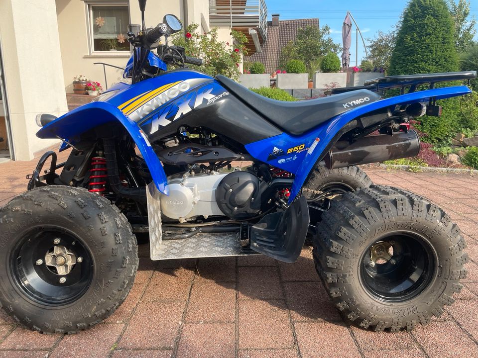 Kymco Quad KXR 250 Sport in Kolbingen