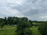 Schöne 4-Raumwohnung mit Blick auf die Mulde in Neichen, Garten Sachsen - Trebsen Vorschau