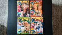 4x Wendy Pferde Zeitschriften aus 2001 Frankfurt am Main - Westend Vorschau