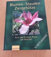 Blumen, Stauden, Ziergehölze. Neu. Baden-Württemberg - Dürbheim Vorschau