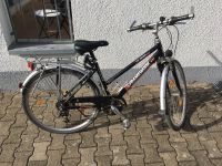 Damenfahrrad 28“ Trekking Bike Framework Shimano Baden-Württemberg - Neuhausen Vorschau