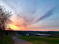 Einstellplätze, Offenstall, Boxen, Rentner, Jungpferde Saarland - Eppelborn Vorschau