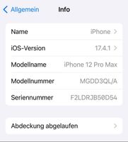 iPhone 12 Pro Max mit drei Schutzhüllen Baden-Württemberg - Hechingen Vorschau