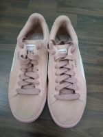 Puma Sneaker Wildleder Rosa Größe 37,5 Dresden - Löbtau-Nord Vorschau