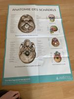 Poster Anatomie des Schädels Nordrhein-Westfalen - Essen-Margarethenhöhe Vorschau