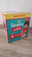 Pampers Pants gr 6, ungeöffnet Maxi Pack 70 Stück Nordrhein-Westfalen - Altena Vorschau