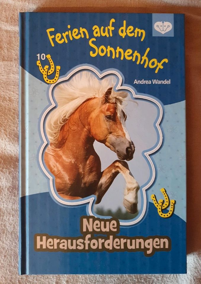 Ponyclub/PennyGirl Pferdebuch "Ferien auf dem Sonnenhof 10" in Beverstedt