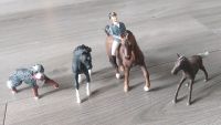 Schleich Reiter auf Pferd, 2 Fohlen, Hund Bayern - Ursensollen Vorschau