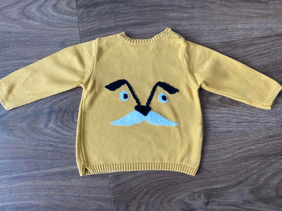 Baby Pullover Zara Gr. 98 cm in Freising