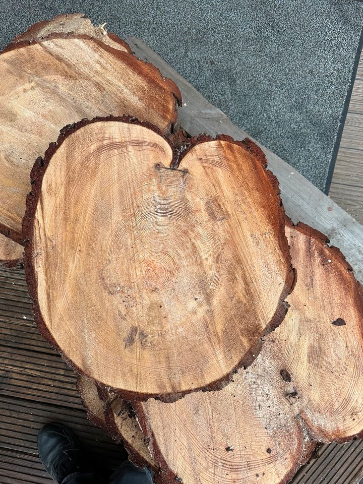 Baumscheiben 40- 50 cm Deko Holz Baum in Oschersleben